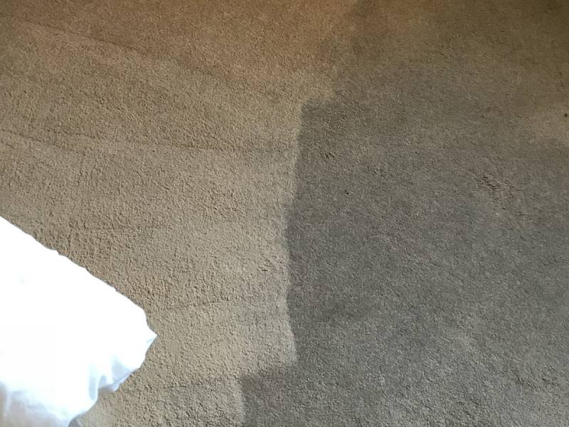 Carpet and Upholstery Cleaning