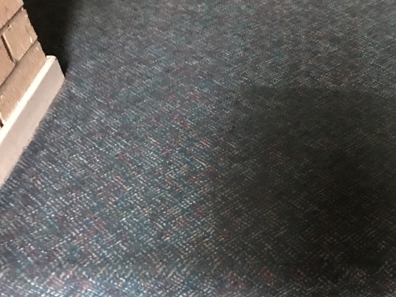Carpet and Upholstery Cleaning