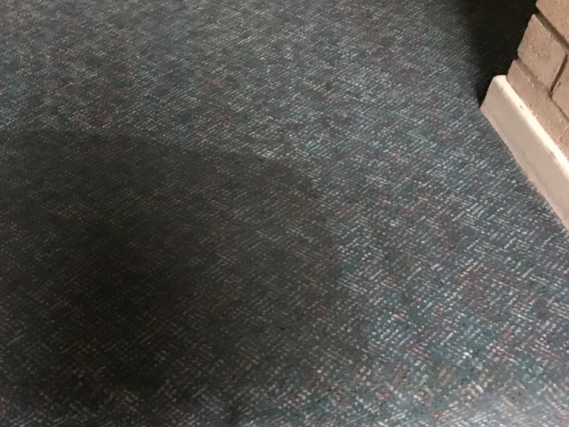 Carpet and Upholstery Cleaning