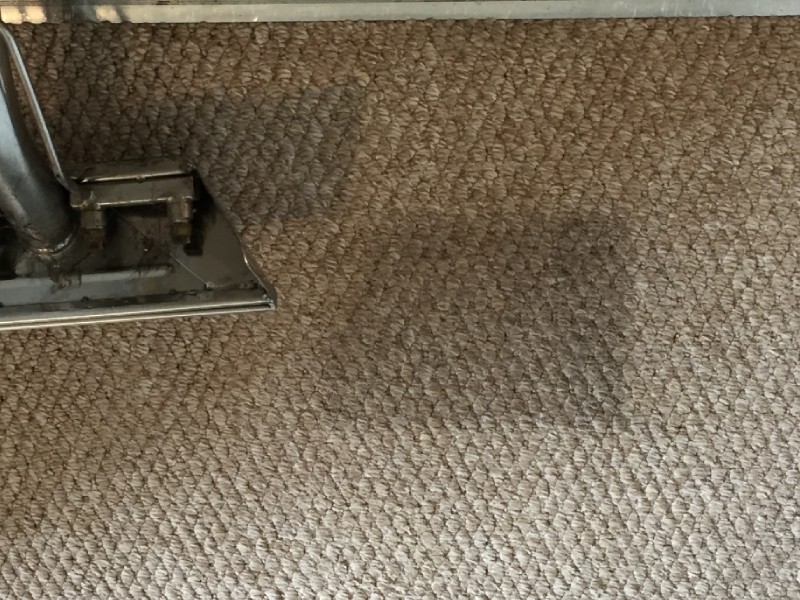 Carpet and Upholstery Cleaning